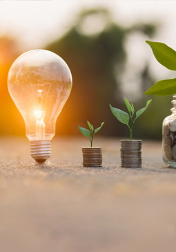 Energy Consumption on the Environment